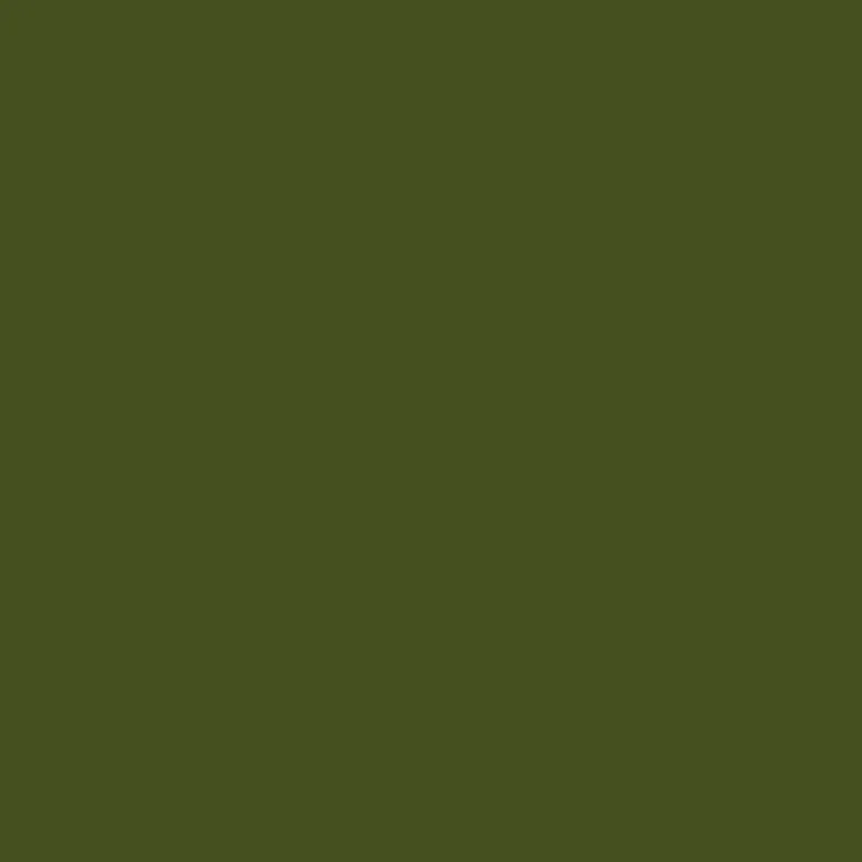 Mustard Made The Shorty To The Left - Olive