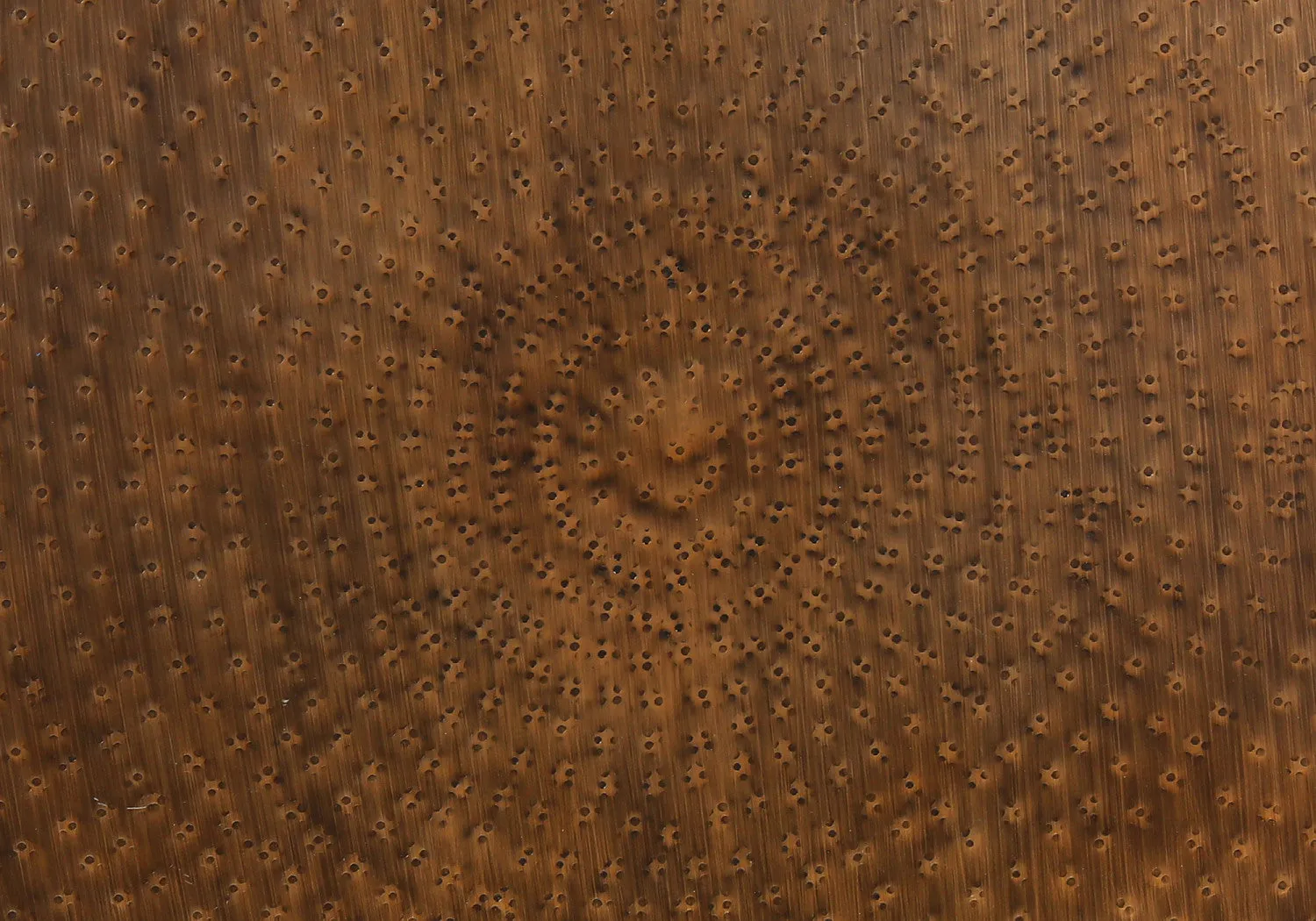 Ostra Side Table - Bronze