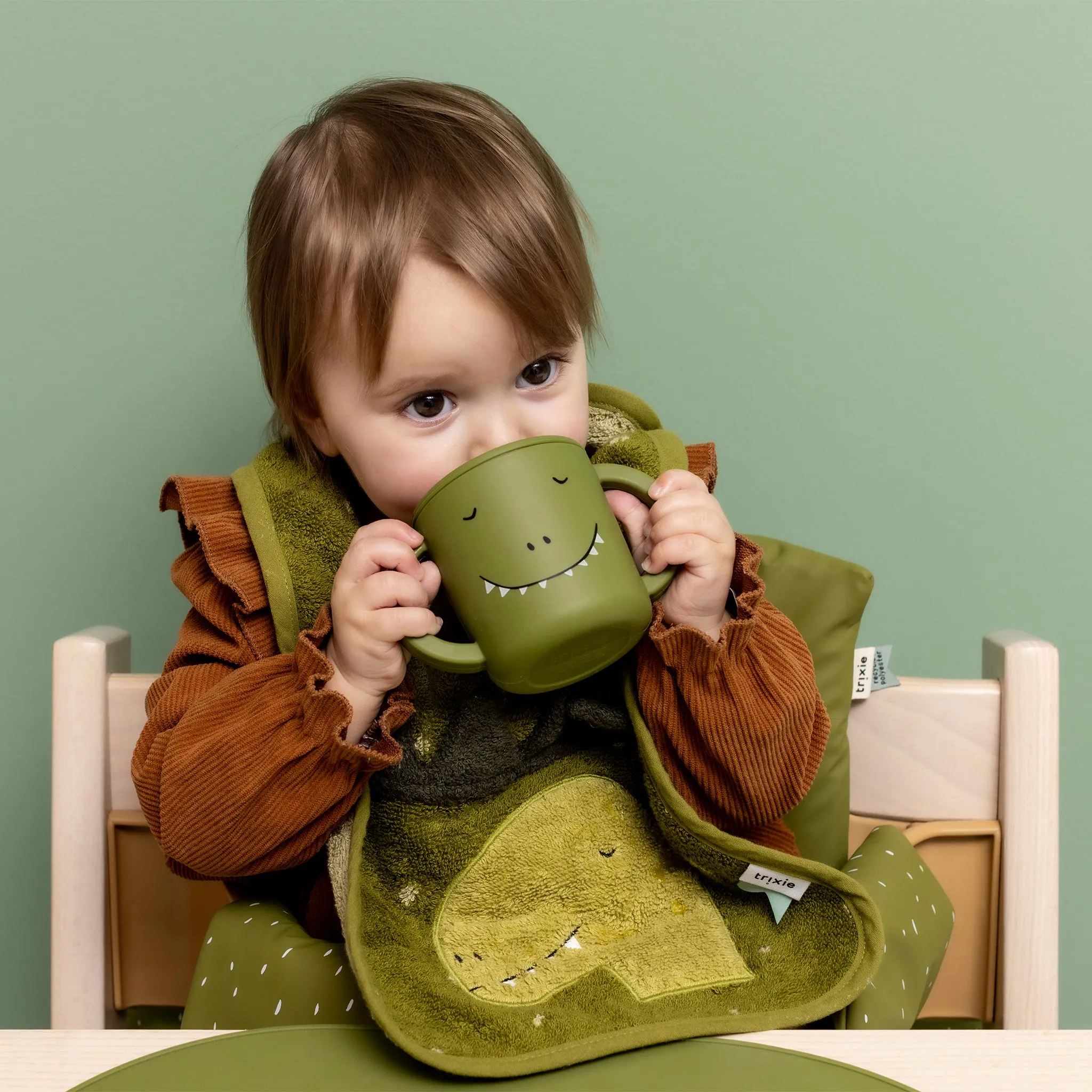 Trixie Silicone Sippy Cup - Mr. Dino