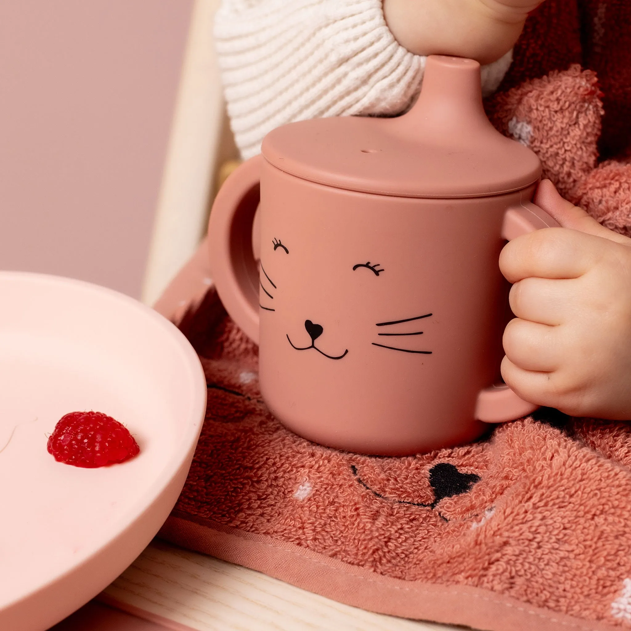 Trixie Silicone Sippy Cup - Mrs. Cat